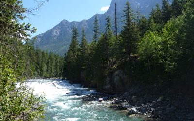 Montana Businesses for Sale by Owner (FSBO)